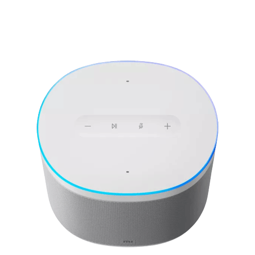 Mi Smart Speaker